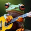 frog n the jamlings