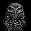 OWL_NIGHT_UA