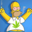 HOMER MACONHERO 4i20