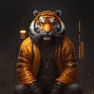 TofAşk SLX 1.6iE PEEK