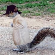 secret squirrel avatar