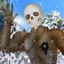 Arctic Knight