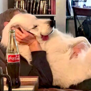 时光轻浅处 一步一安然