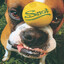 snot dog