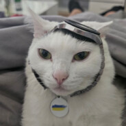 Директор Dust2