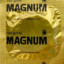 Magnum