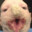 Bilby simons avatar