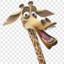 Melman