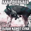 Zalypa Adolfa