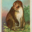 GibbonGoblin