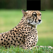 richcheetah