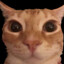 Pabloks