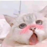 你有点紧张同学