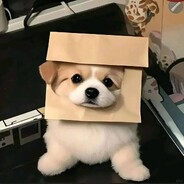 与你