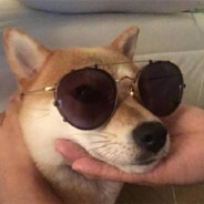 三年不碰英语题 看完欧美过六级