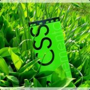 bomlag - steam id 76561197965560518