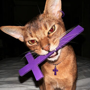 失败证明你努力过