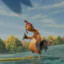 Chicken Joe