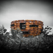 小枪一打直接开马