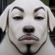 Dominican Dog