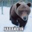 скуби снэк
