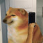 Dogeh