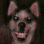 lu