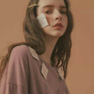 阿本道夫的狐狸