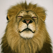 Jayy - steam id 76561199826340994