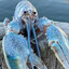 CrippledBlueLobster