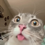 RI || Narkobaron - steam id 76561199274228558