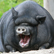 Рассекатель член