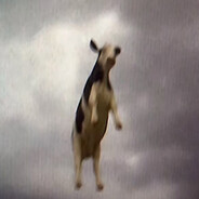 有树枝的小黑纸