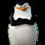 Skipper csgo.run