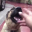 chuna