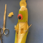 surgery on banana