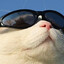 r4nger-