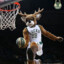 Antetokounmpo