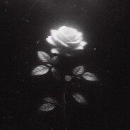 Dead Rose