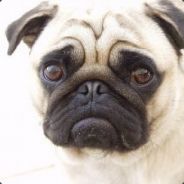 Mops [GER] - steam id 76561197960713834