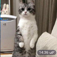 ежик_подзаборный