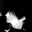 HighStyle avatar