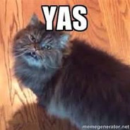 YAS