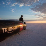 中国单身狗保护协会