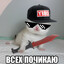Steam avatar