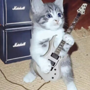 董董天才赞赞蹦蹦