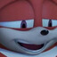 The echidna