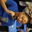 alexkwok4794