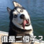 隔壁老余