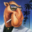 JOE CAMEL